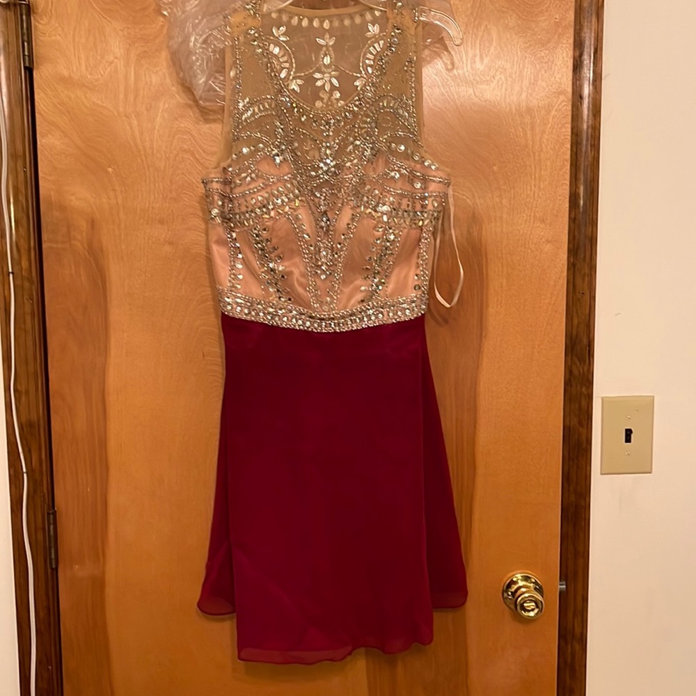 narianna prom dress xxl